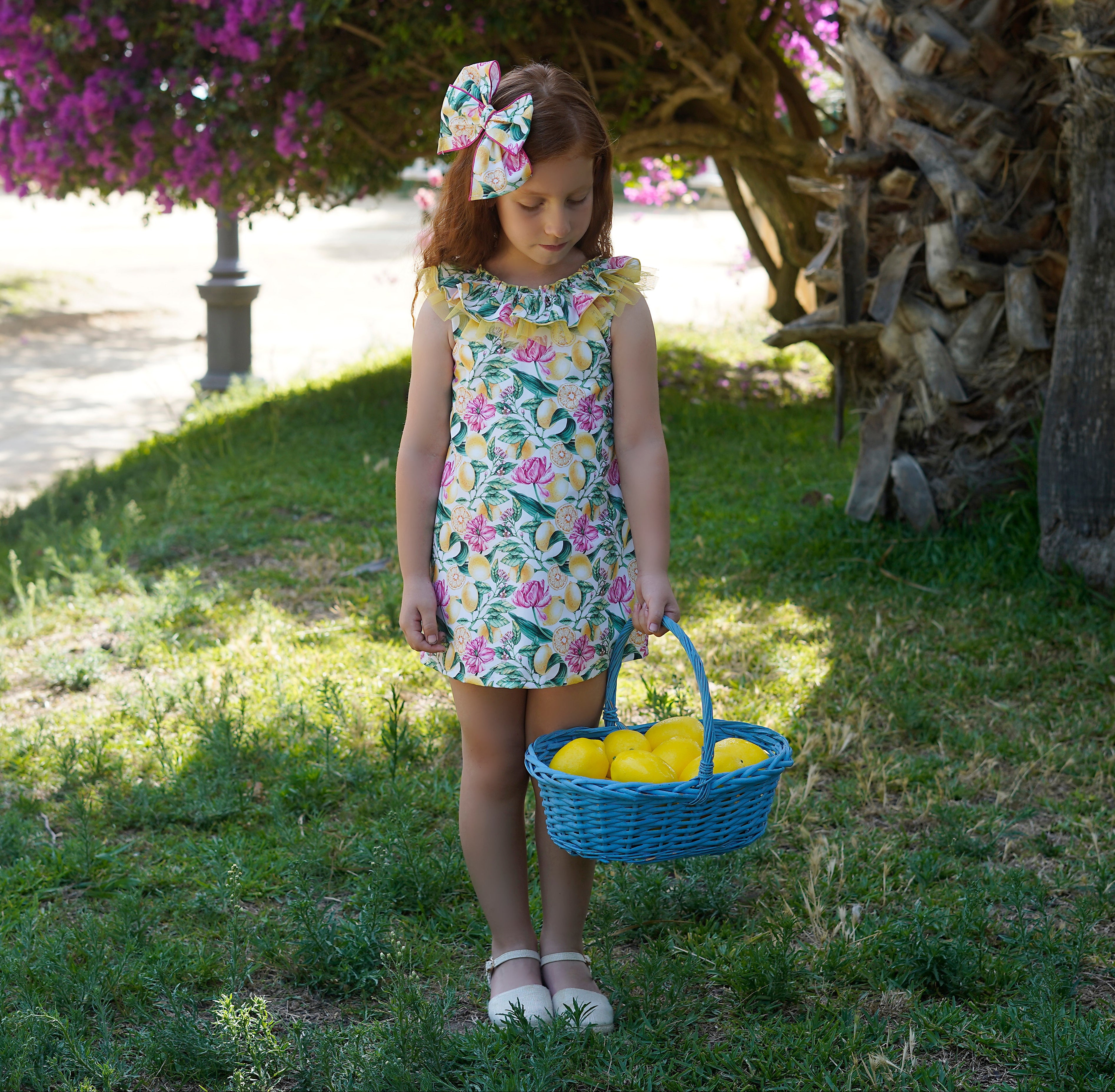 SS26 Babine Girls A-Line Floral and Lemon Dress – Baby Basics Grays