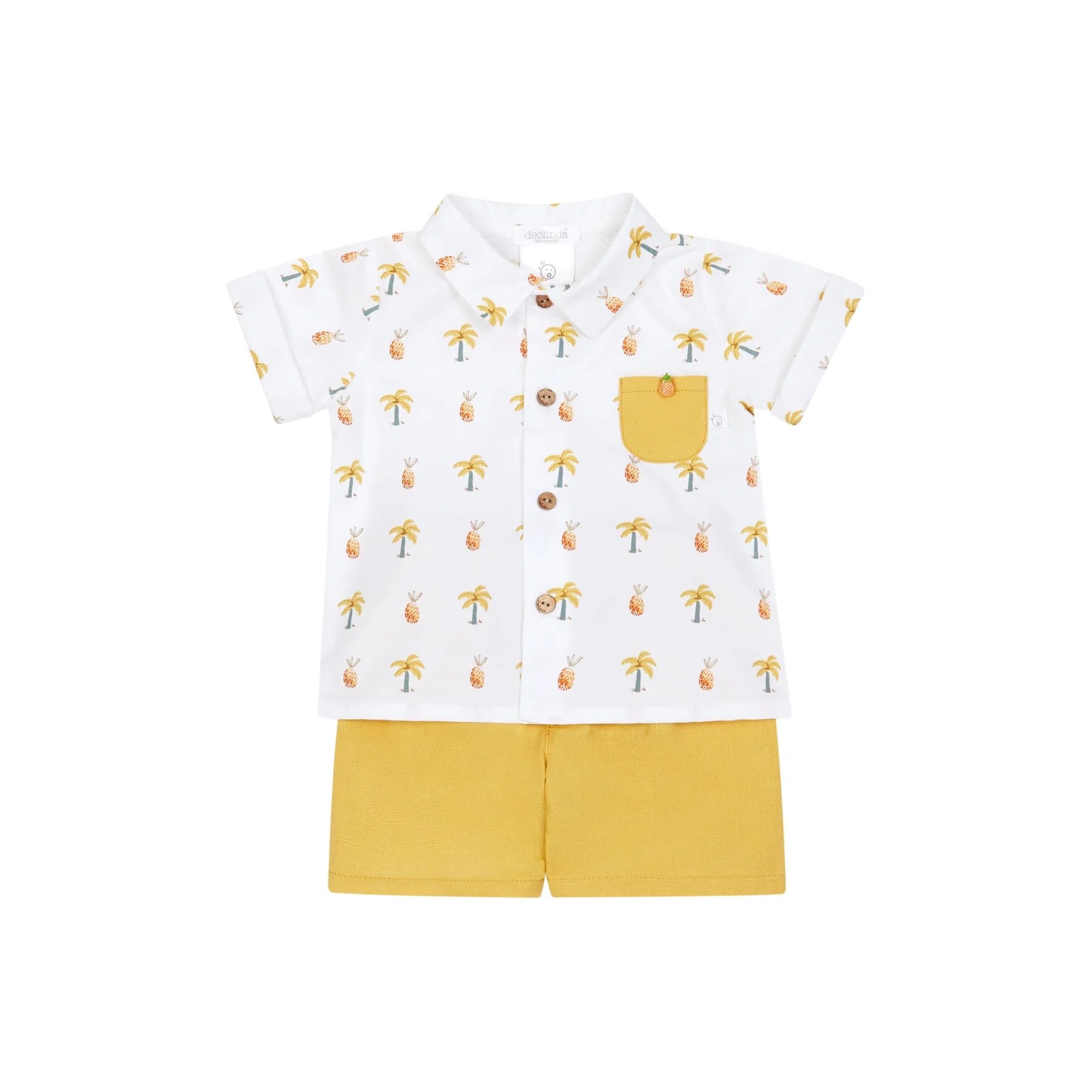 Deolinda Boys Pineapple Short and Shirt Set - 24825