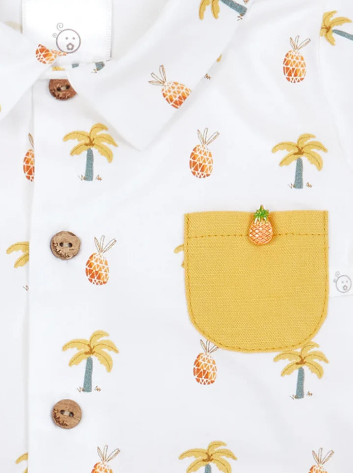 Deolinda Boys Pineapple Short and Shirt Set - 24825