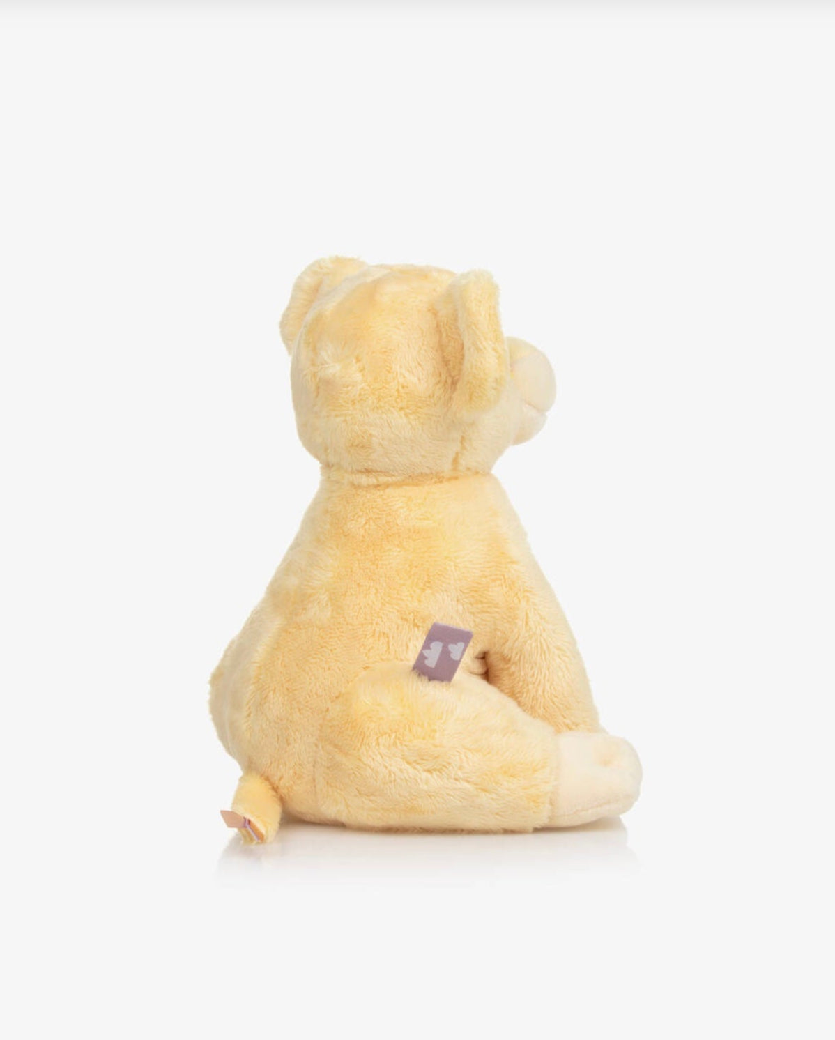 Disney Baby Lion King Simba Activity Soft Toy with Teether (20cm)